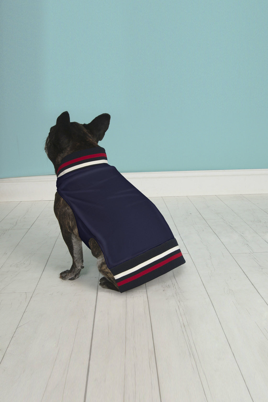 HIPSTER PUPS Jacket in Navy