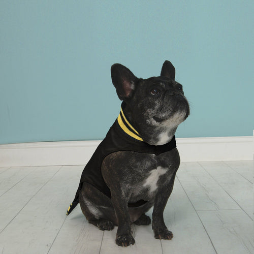 Hipster Pups Bomber Jacket 