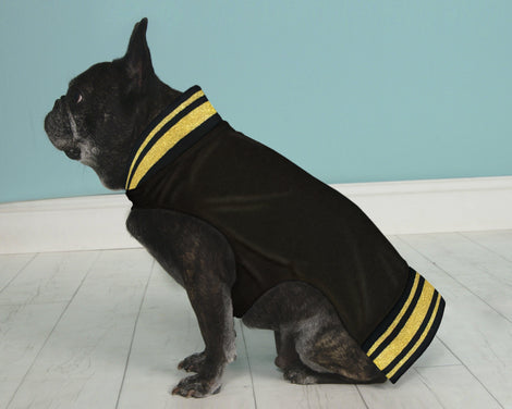 Hipster Pups Bomber Jacket 