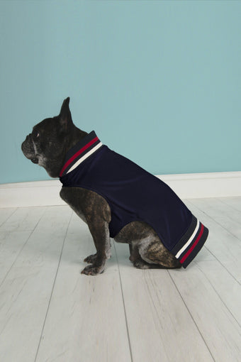 HIPSTER PUPS Jacket in Navy