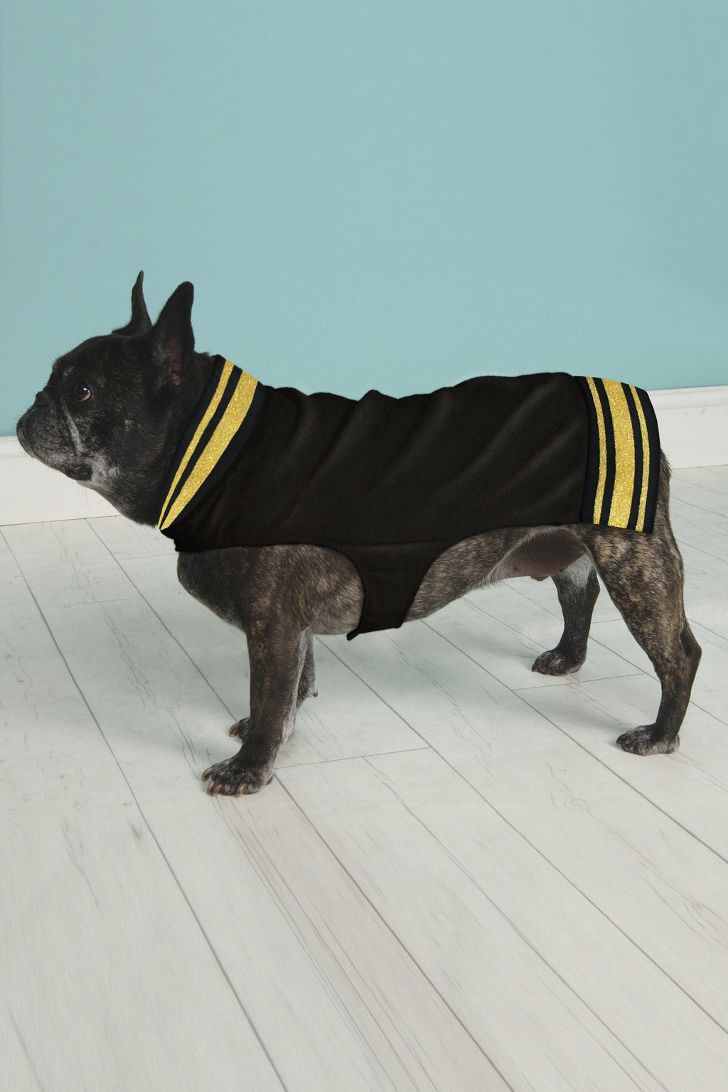 Hipster Pups Bomber Jacket 