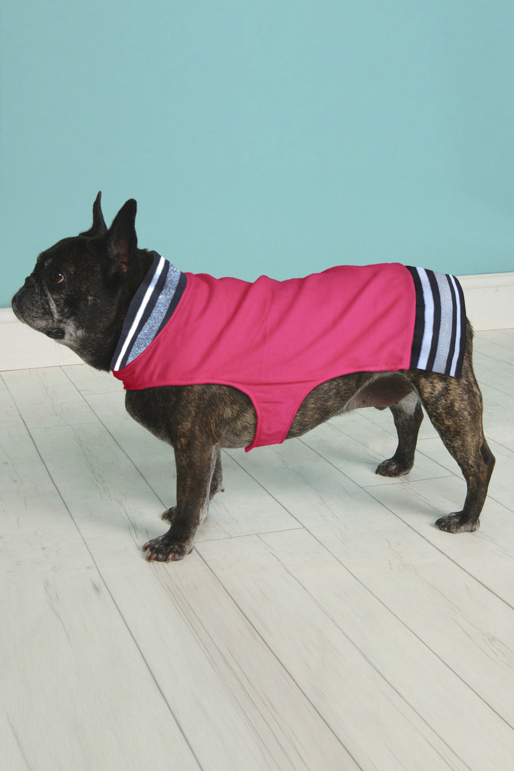 Hipster Pups Bomber Jacket in Pink 